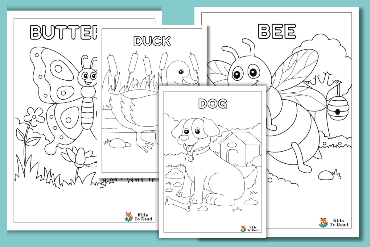 Garden Animal Colouring Book