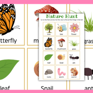 Nature Hunt Activity