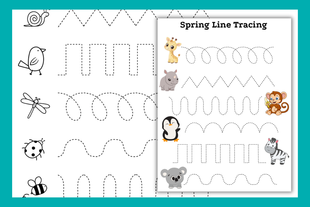 spring line tracing